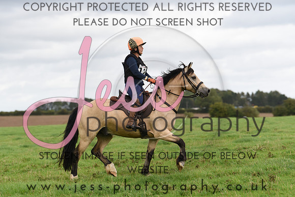 TREC (619)