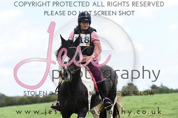 TREC (200)
