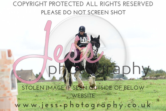 TREC (203)