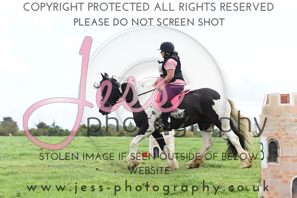 TREC (206)