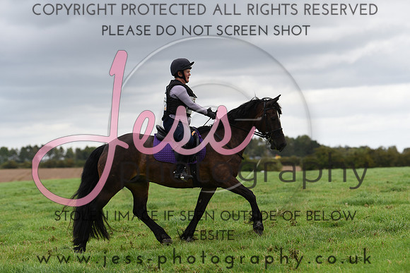 TREC (633)