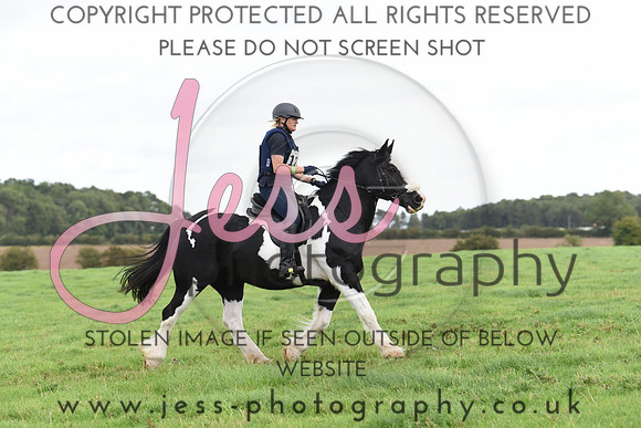 TREC (212)