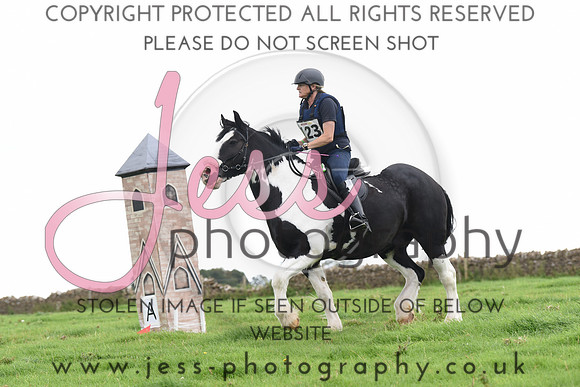 TREC (213)