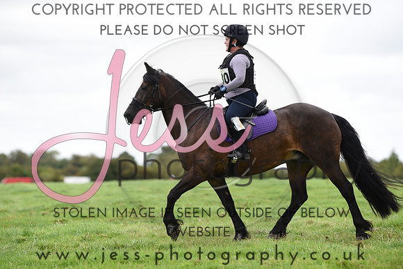 TREC (638)