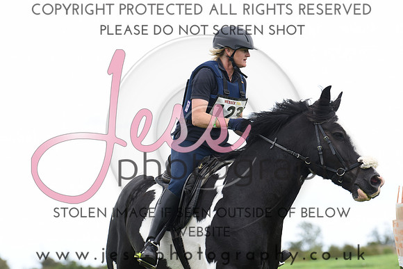 TREC (219)