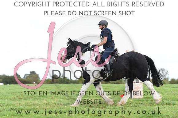 TREC (221)