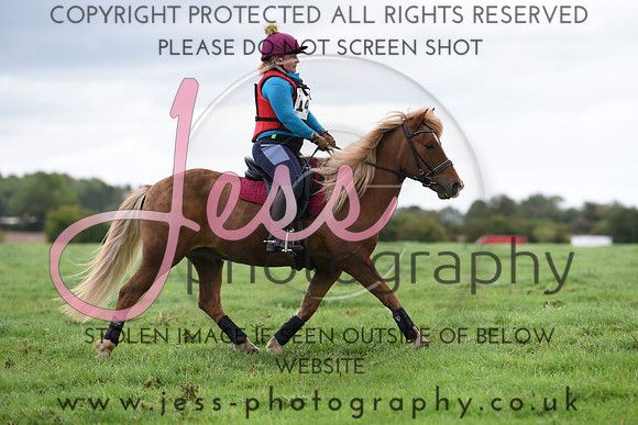 TREC (646)