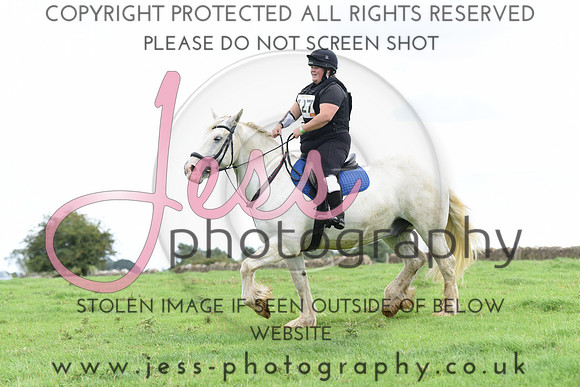 TREC (228)