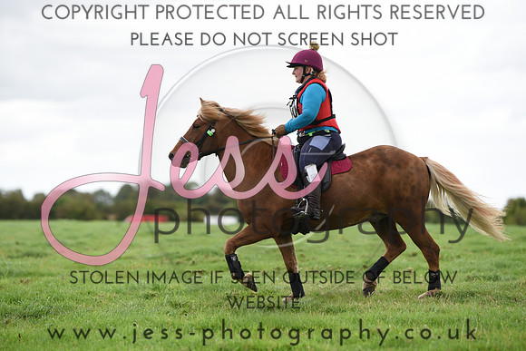 TREC (650)
