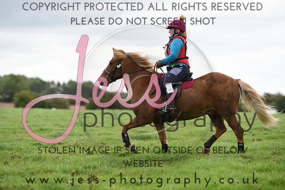 TREC (651)