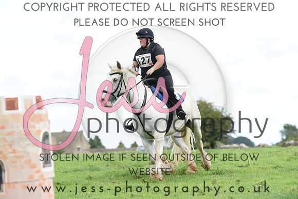 TREC (237)