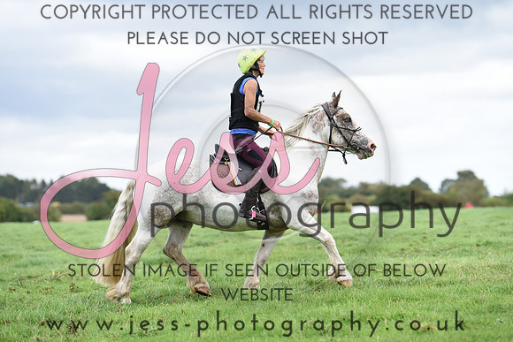 TREC (659)