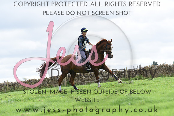 TREC (247)