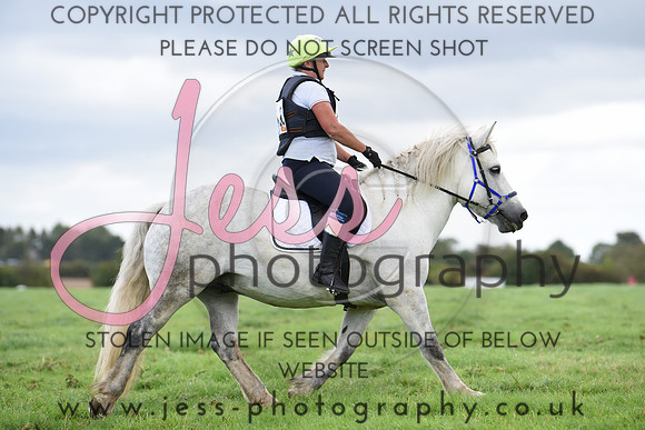 TREC (671)