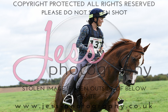 TREC (255)