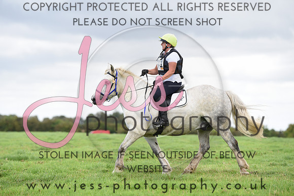 TREC (677)