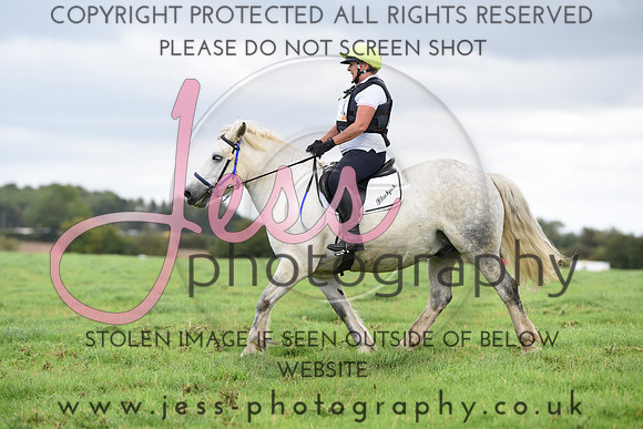 TREC (678)