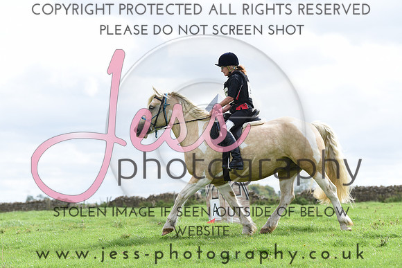 TREC (266)