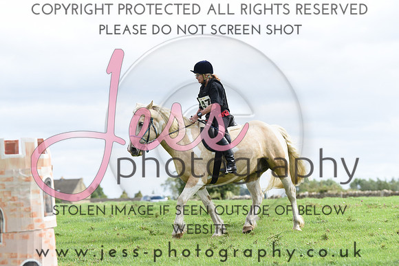 TREC (273)