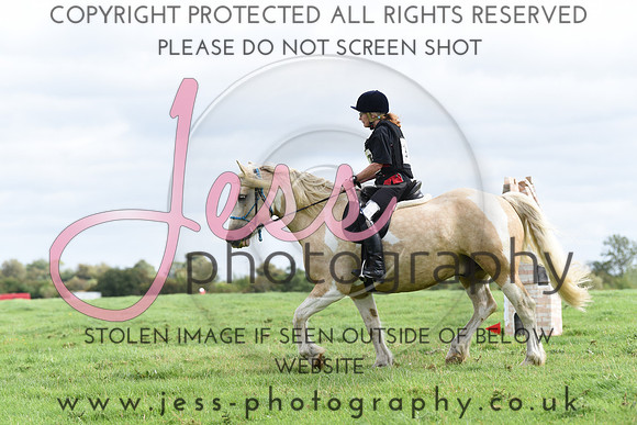 TREC (274)