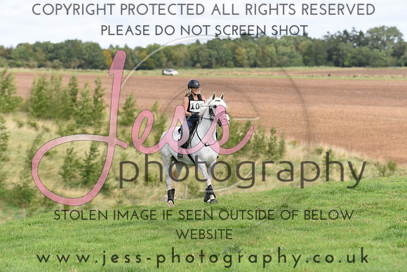 TREC (275)