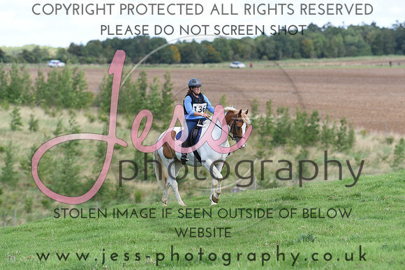 TREC (291)