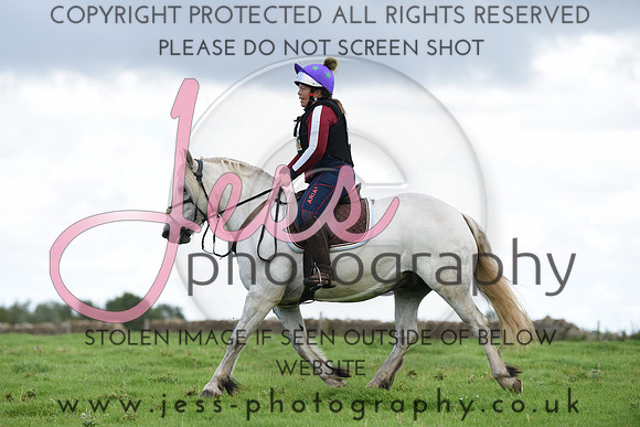 TREC (708)