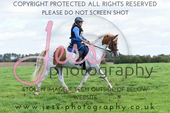 TREC (294)