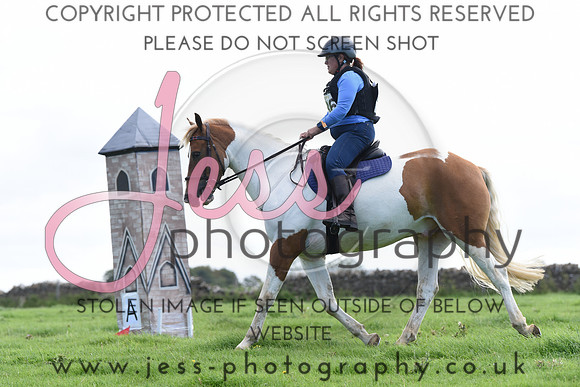 TREC (296)