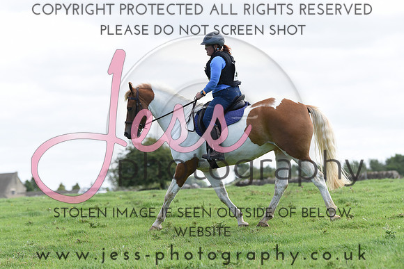 TREC (297)