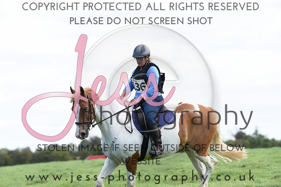 TREC (299)