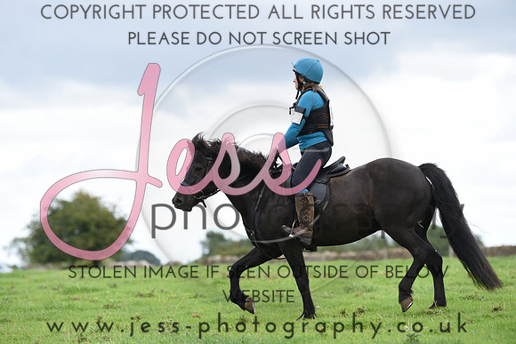TREC (719)