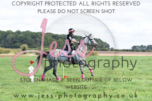 TREC (311)