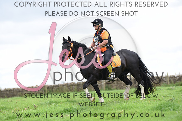 TREC (731)