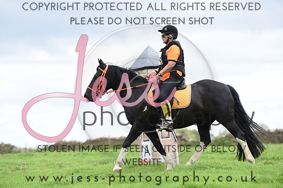 TREC (732)