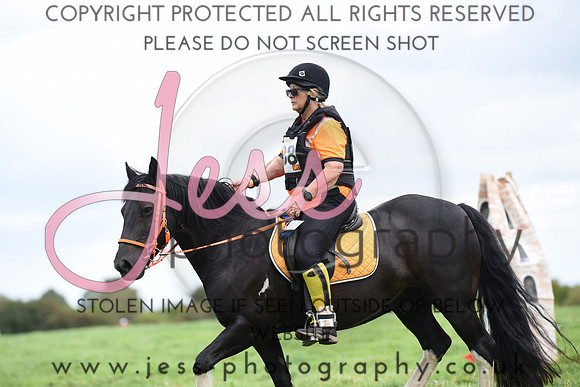 TREC (733)