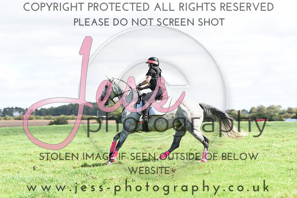 TREC (319)