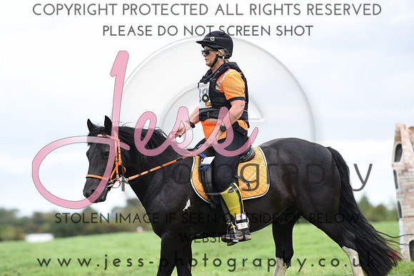 TREC (734)
