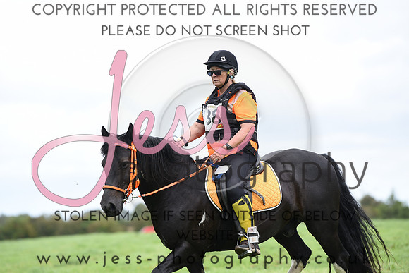 TREC (735)