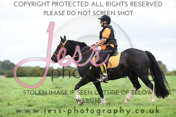 TREC (741)