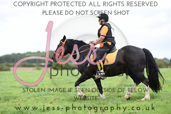 TREC (742)