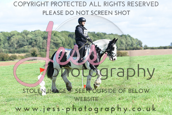 TREC (325)