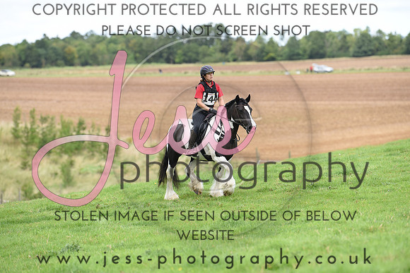 TREC (743)