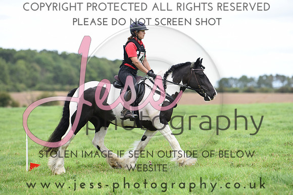 TREC (746)