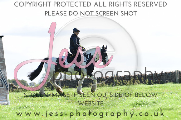 TREC (328)