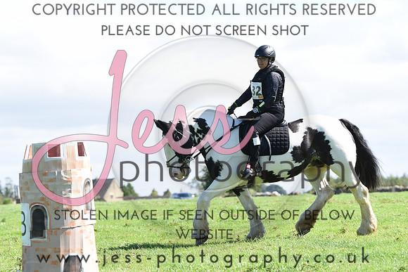 TREC (331)