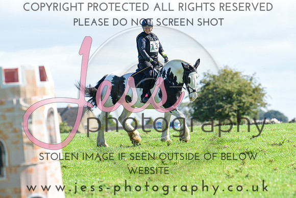 TREC (338)