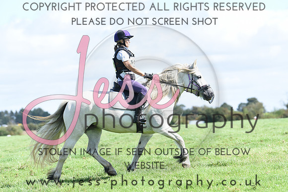 TREC (348)