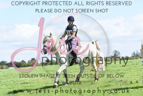 TREC (352)