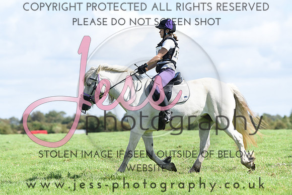TREC (358)
